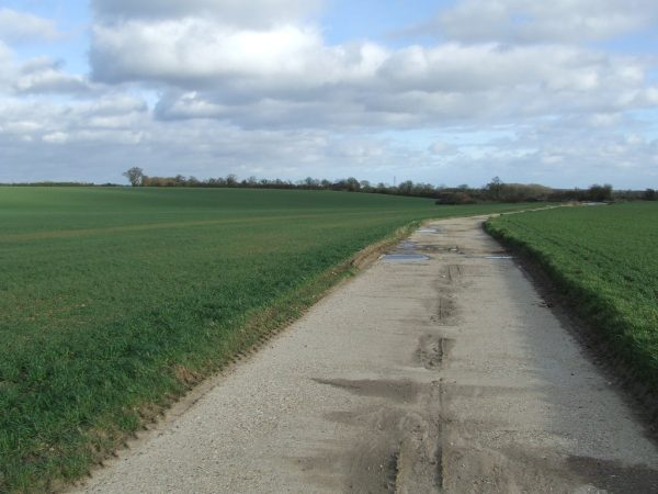 Kings_Lane_-_geograph.org.uk_-_3843829